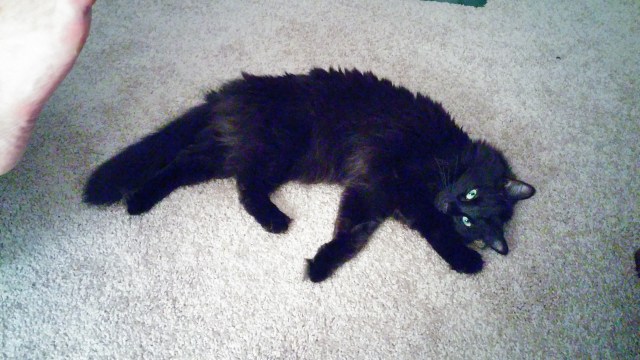 And yes, she's named for President Beeblebrox.