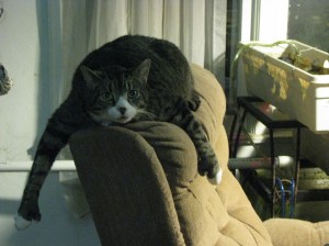 Named for Jason Gideon of Criminal Minds.