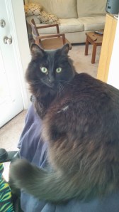 And some days, Z deserves every bit of them...