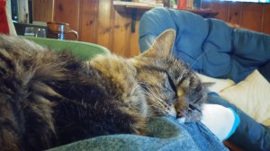 I love her name, and I didn't even name her!