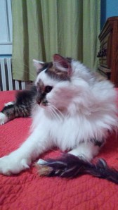 Beautiful Prozac baby.